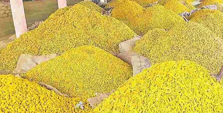 ఆర్భాటం అధికం...ఆదుకునేది శూన్యం, ఇదీ పసుపుబోర్డు తీరు ఆర్భాటం అధికం...ఆదుకునేది శూన్యం, ఇదీ పసుపుబోర్డు తీరు