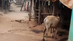 నేటి తెలంగాణ పల్లెలు మునుపటి పల్లెలు కాదు