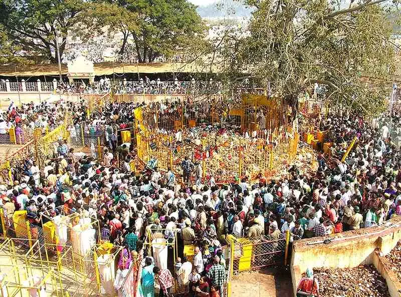 మేడారం జాతర తేదీలు ఖరారు