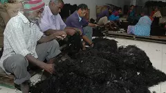 శ్రీవారికి హుండీకి దీటుగా ఆదాయం...