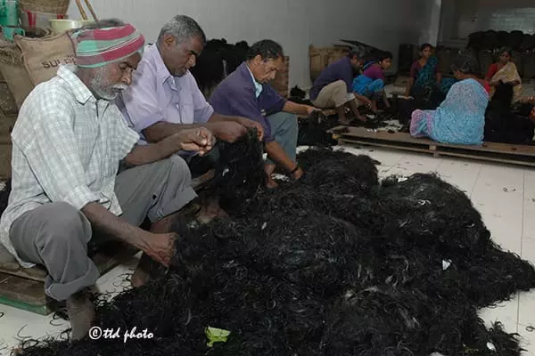 శ్రీవారికి హుండీకి దీటుగా ఆదాయం... శ్రీవారికి హుండీకి దీటుగా ఆదాయం...