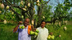 గిరిజనుల బతుకు బాట... ‘మా తోట’
