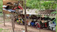 ఇక్కడ ప్రతిచెట్టూ నిరుద్యోగులకు కొండంత అండగా నిలుస్తోంది