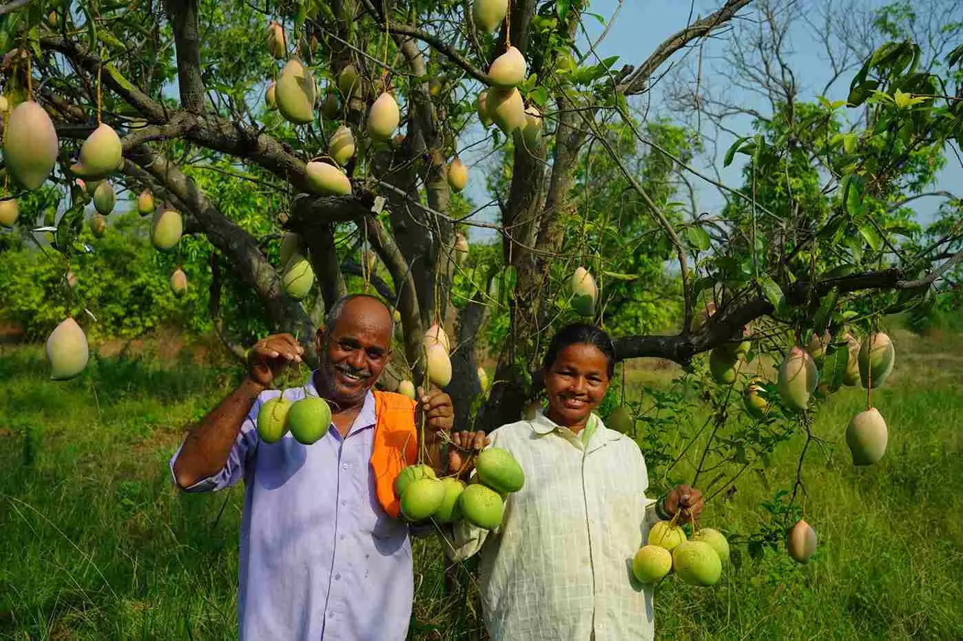 గిరిజనుల బతుకు బాట... ‘మా తోట’