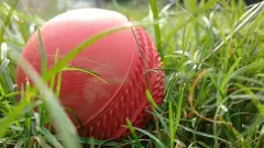 అవినీతి చిక్కుల్లో హైదరాబాద్ క్రికెట్ అసోసియేషన్‌