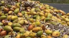 మోసం చేశావే మామిడీ!