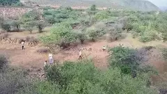 kadapa | గండికోట సమీపంలో విద్యార్థిని హత్య