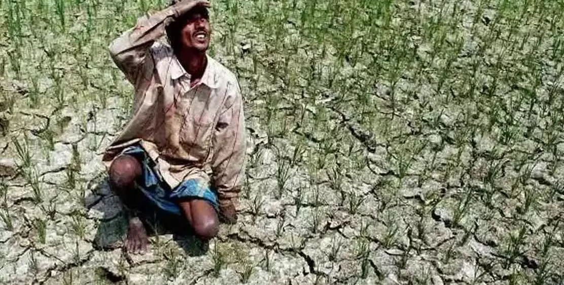 ఆదుకొనక పోతే రైతుల ఆత్మహత్యలు పెరుగుతాయి ఆదుకొనక పోతే రైతుల ఆత్మహత్యలు పెరుగుతాయి