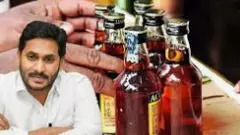 చార్జిషీట్ లో పేరు లేకుండా జగన్ అరెస్ట్ ఎలా సాధ్యం?