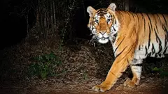 కొమురం భీం టైగర్ కారిడార్ జీఓ నిలిపివేత, సర్కారు ఉత్తర్వులు