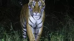 కుమురం భీం కన్జర్వేషన్ రిజర్వు నిలుపుదల మెమోపై రాజుకున్న సందేహాలు