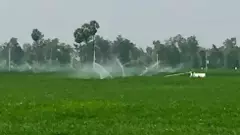 ఈ పచ్చని పొలాలను చిదిమేయాలను కోవడం న్యాయమా, చంద్రబాబూ!