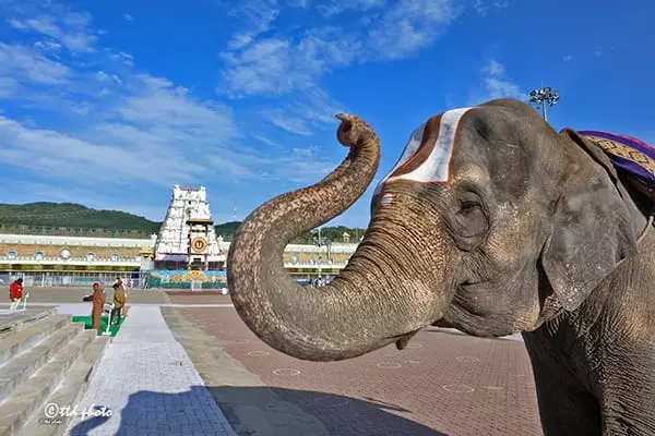 హైదరాబాదులోని ఆనంద నిలయం శ్రీవారి అంకితం..