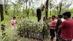 Exclusive |అలిపిరి వద్ద ఆపరేషన్ చిరుత