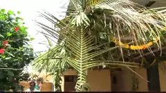 పెళ్లి పందిరి తీయలేదు.. తోరణాలు వాడిపోలేదు.. కాటికి చేరిన నవ వధువు..