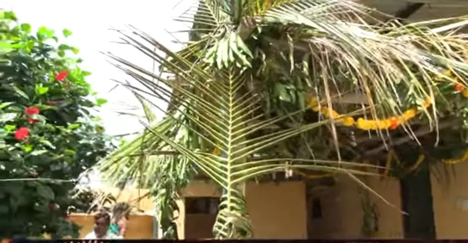 పెళ్లి పందిరి తీయలేదు.. తోరణాలు వాడిపోలేదు.. కాటికి చేరిన నవ వధువు.. పెళ్లి పందిరి తీయలేదు.. తోరణాలు వాడిపోలేదు.. కాటికి చేరిన నవ వధువు..