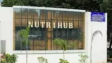 చిరు ధాన్యాలతో వంట.. ఇంటి నిండా కాసుల పంట!