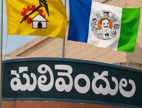 పులివెందులలో కాయ్ రాజా కాయ్!