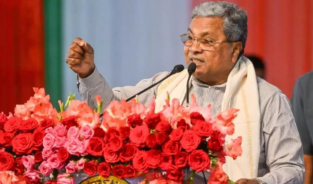 వీధి కుక్కలను ఇబ్బందిగా చూడటం ఏంటీ?సిద్ధరామయ్య