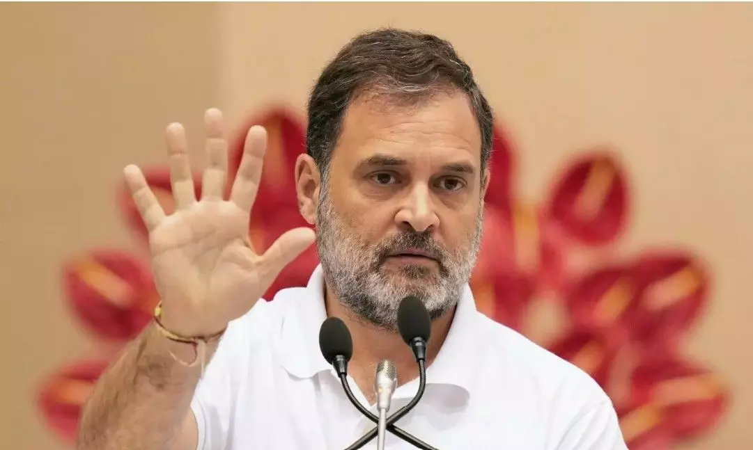 లాయర్ పై ఆగ్రహం వ్యక్తం చేసిన రాహుల్ గాంధీ లాయర్ పై ఆగ్రహం వ్యక్తం చేసిన రాహుల్ గాంధీ