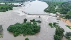 తెలంగాణలో విస్తారంగా వర్షాలు