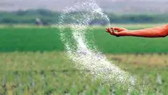 రాష్ట్రానికి 50 వేల టన్నుల యూరియా కేటాయించిన కేంద్రం