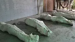 Mystery deaths | మియాపూర్ లో దారుణం..ఒకే కుటుంబంలో ఐదుగురు మృతి