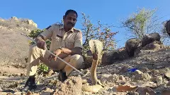 12 ఏళ్లుగా  పాములే అతని నేస్తాలు