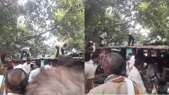 చెట్టు నుంచి రాలిన ఐదొందల నోట్ల కోసం ఎగబడిన జనం..