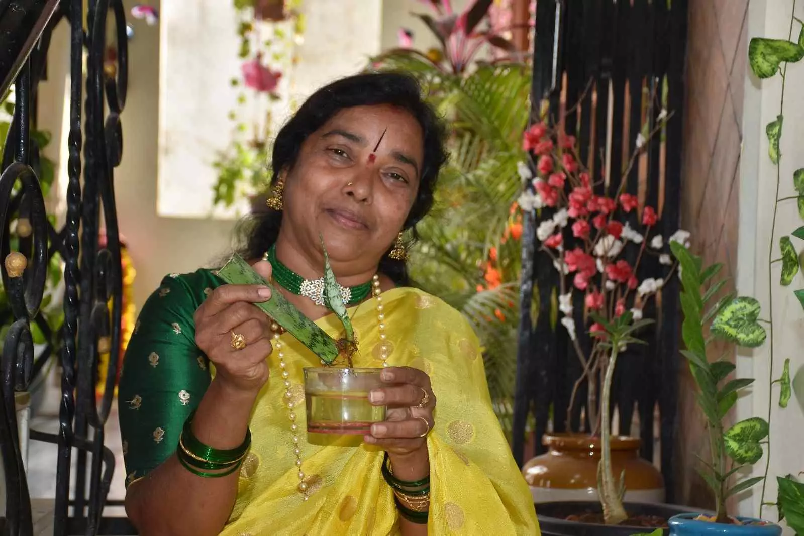 మిద్దె మీద లీఫ్ కల్చర్ !! మిద్దె మీద లీఫ్ కల్చర్ !!