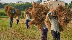 ‘ఏ’ గ్రేడ్ కు వరి ధాన్యానికి రూ. 2,545