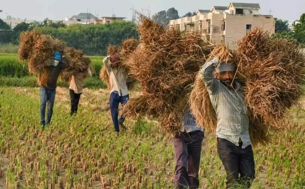 ‘ఏ’ గ్రేడ్ కు వరి ధాన్యానికి రూ. 2,545