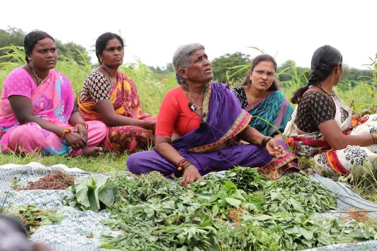 ఇక్కడ కలుపు మొక్కలే పోషకాహారం! ఇక్కడ కలుపు మొక్కలే పోషకాహారం!