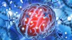 బ్రెయిన్ ఈటింగ్ అమీబాతో  నెలలోనే ఆరుగురు మృతి