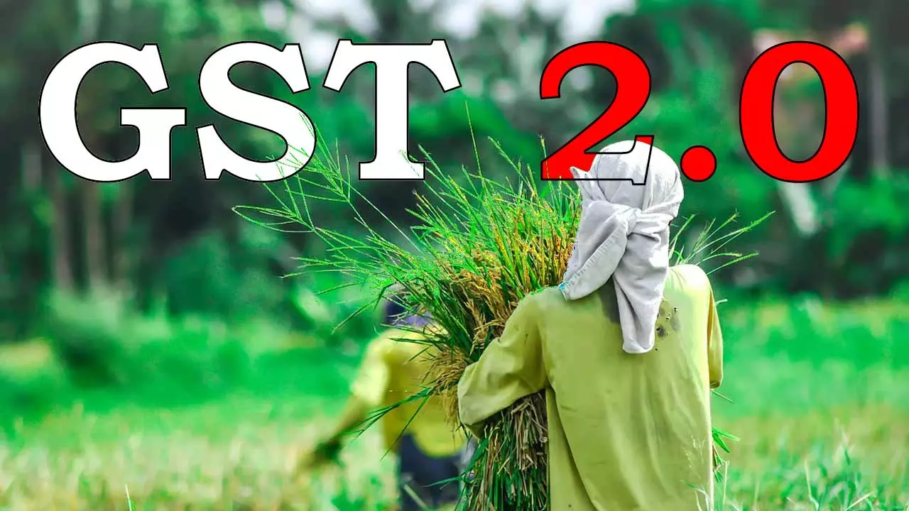 వ్యవసాయ రంగంలో GST తగ్గింపు ప్రభావం ఉంటుందా ? వ్యవసాయ రంగంలో GST తగ్గింపు ప్రభావం ఉంటుందా ?