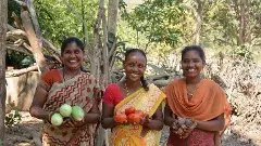 యూరియా వాడని ఊరు!