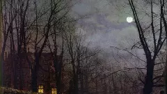 రానివ్వు రాత్రిని!