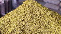 ఆర్మూర్ ‘పసుపు’ ప్రత్యేకత ఏమిటో తెలుసా ?