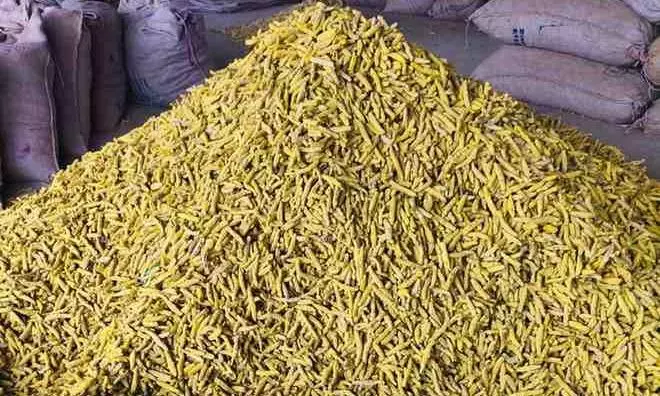 ఆర్మూర్ ‘పసుపు’ ప్రత్యేకత ఏమిటో తెలుసా ?