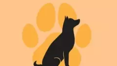 రేబీస్ వ్యాధి అంటే? : తెలుసుకుంటే, నివారించడం సులభం...