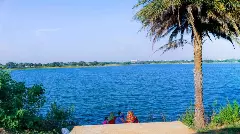 విదేశీ మిత్రుల్ని కోల్పోయిన అమీన్‌పూర్ లేక్