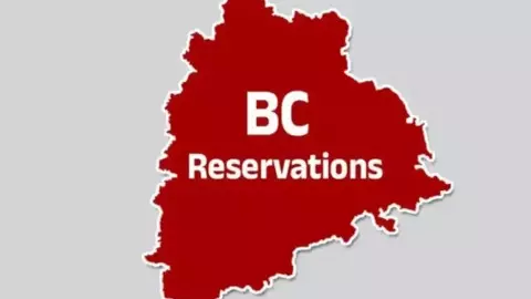 బీసీలకు 42శాతం రిజర్వేషన్ అవకాశంలేదా ?