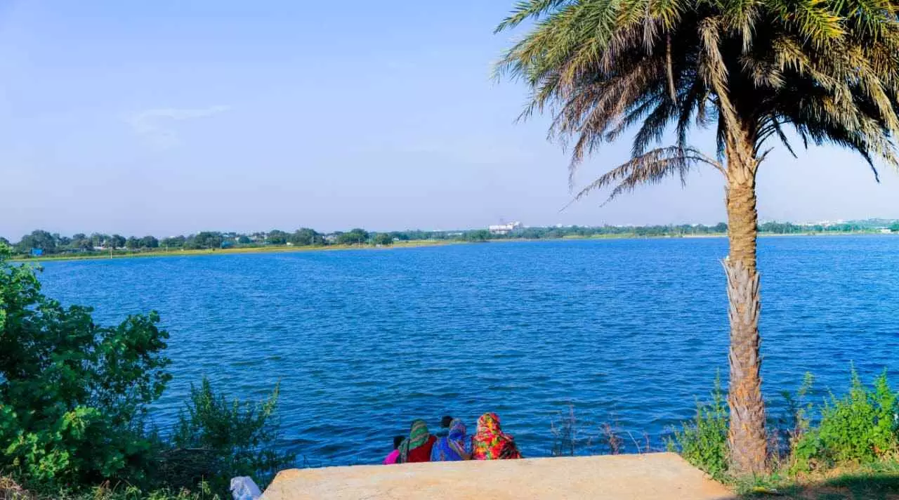 విదేశీ మిత్రుల్ని కోల్పోయిన అమీన్‌పూర్ లేక్