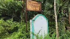 గూగుల్ తల్లి కోసం తర్లువాడ తహతహ!