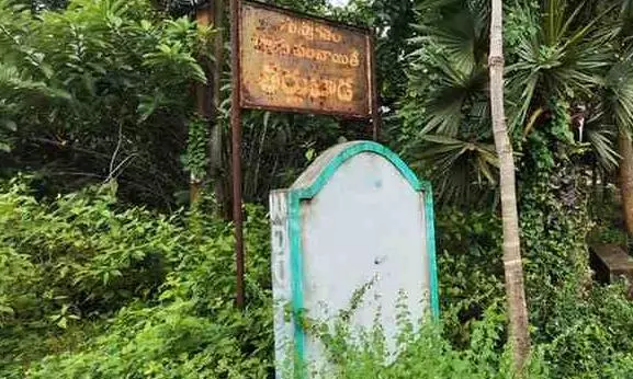 గూగుల్ తల్లి కోసం తర్లువాడ తహతహ!