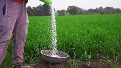 కేంద్ర బడ్జెట్ 2026-27లో రైతులపై నిర్లక్ష్యం: రైతు స్వరాజ్య వేదిక