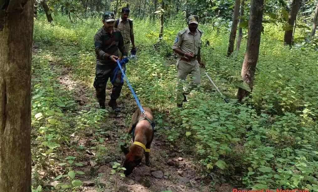 తెలంగాణ అడవుల్లో మాటు వేసిన వేట జాగిలాలు