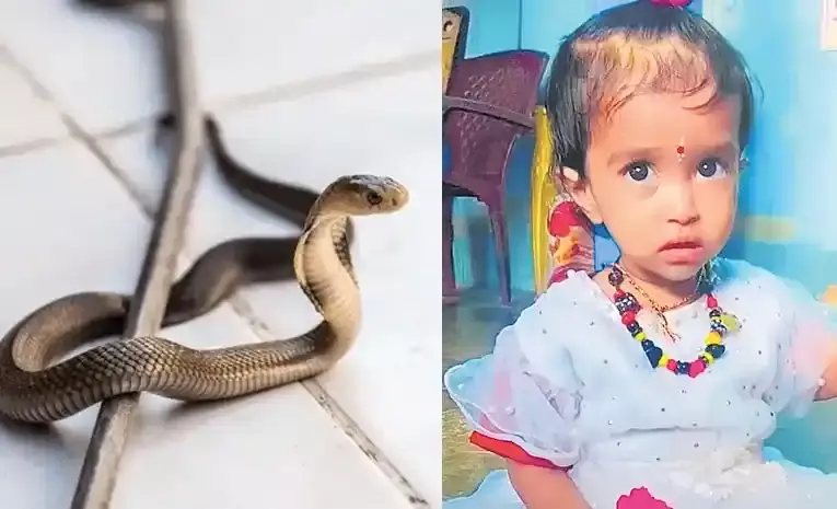 రాజన్న సిరిసిల్లా లో విషాదం