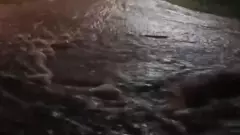 ప్రమాదంలో వంగర ఊర చెరువు.. ఏ క్షణమైన తెగనున్న కట్ట?