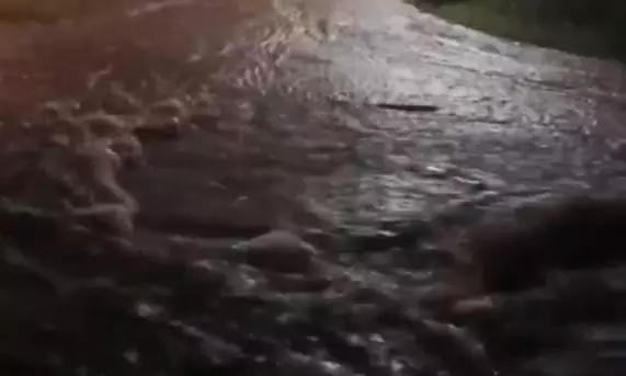 ప్రమాదంలో వంగర ఊర చెరువు.. ఏ క్షణమైన తెగనున్న కట్ట?